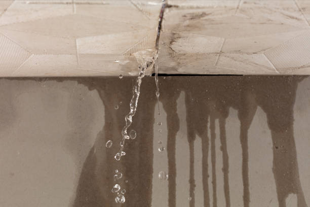 Professional Burst Pipe Cleanup technician working in South Prairie, WA